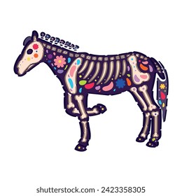 Creepy horse with drawn skeleton on white background. Mexico's D