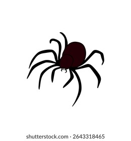 Creepy scary element colection for Halloween occasion. Spiderweb, spider tarantula. Horror decorations line art hand drawn 