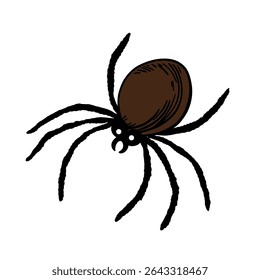 Coleção de elementos assustadores assustadores para a ocasião do Halloween. Teia de aranha, tarântula de aranha. Decorações de terror arte de linha desenhada à mão 
