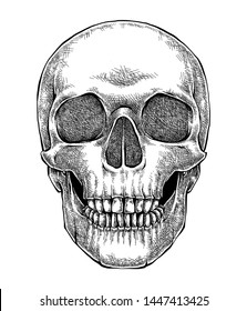 Creepy Skull Illustration, Hand Drawn Sketch, Isolated Vector