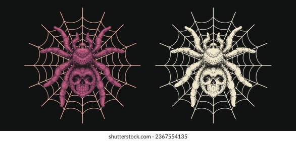 creepy spider on set collection