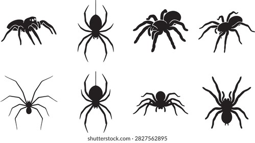 Creepy spider and tarantula silhouettes set on white background