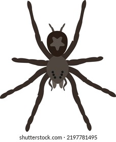 Creepy spider vector art isolated