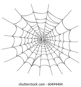 Creepy Spider Web Over White Background.