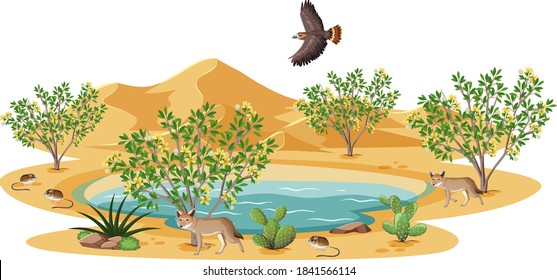 Creosote Bush plant in wild desert on white background illustration