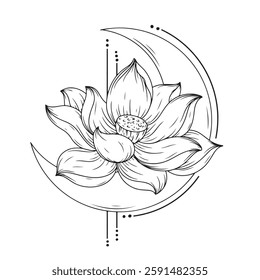 crescent with lotus flower and moon vector illustration design icon