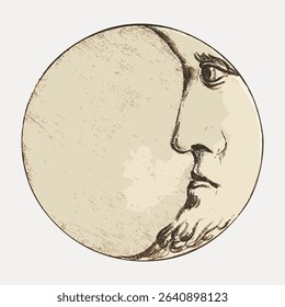 Crescent moon, celestial illustration isolated on white, vector.