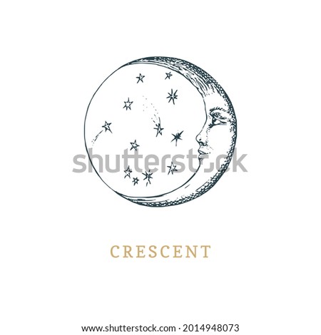 Crescent moon, hand drawn in engraving style. Vector graphic retro illustration. Vintage pastiche of esoteric and occult sign.