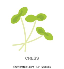 Cress flat icon on white transparent background. You can be used cress icon for several purposes.