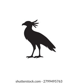 crested bird standing upright with a long tail and slender body