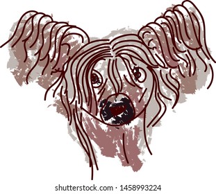 Crested dog, illustration, vector on white background.