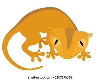 Crested eyelash gecko reptile  character vector illustration. Animal mascot isolated on white.