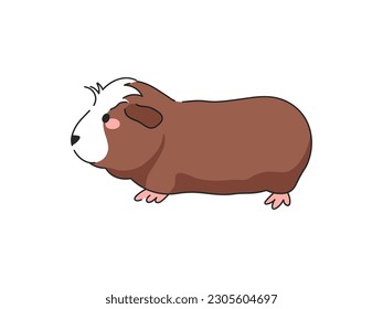 Crested Guinea Pig Cartoon Vector Illustration. Isolated icon on white background.