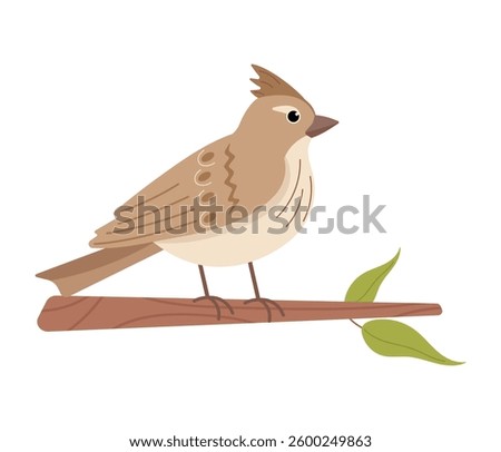 Crested lark on a branch. Minimalist vector illustration. Isolated on white background.