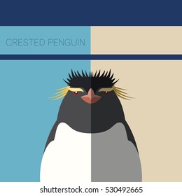 Crested Penguin flat postcard