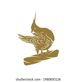 Ilustración del vector del ave de pichón en reposo. Plantilla de concepto de diseño del logotipo de ave de pichón en reposo. Símbolo creativo
