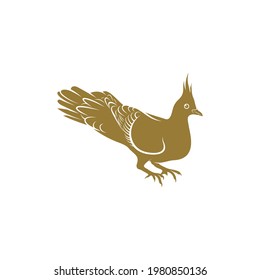 Crested Pigeon bird vector illustration. Crested Pigeon bird logo design concept template. Creative symbol