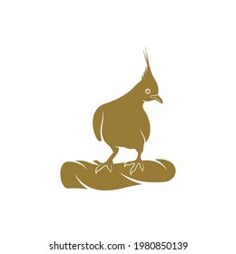 Crested Pigeon bird vector illustration. Crested Pigeon bird logo design concept template. Creative symbol