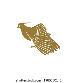 Crested Pigeon bird vector illustration. Crested Pigeon bird logo design concept template. Creative symbol