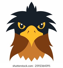 Crested Serpent Eagle head on white background 