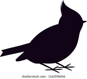 Crested tit bird silhouette vector illustration