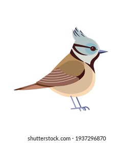 Crested Tit. El tatuaje cretino europeo es un pájaro passerino de la familia de las tetas Paridae. Dibujo de pájaro pequeño planetario hermoso carácter de la ornitología, ilustración vectorial aislada en fondo blanco. 