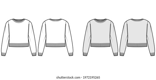 Crew neck cropped Sweater technical fashion illustration with long sleeves, relax fit, waist length, knit rib trim. Flat jumper apparel front, back, white grey color style. Women men unisex CAD mockup