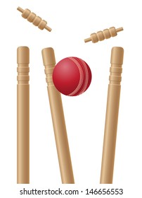 cricet wickets and ball vector illustration isolated on white background