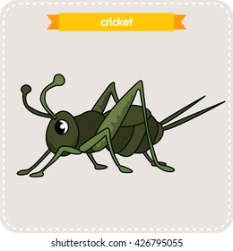 A cricket.