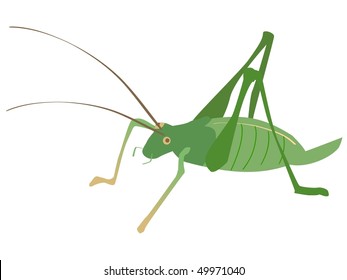 1,198 Cricket Paintings Images, Stock Photos & Vectors | Shutterstock