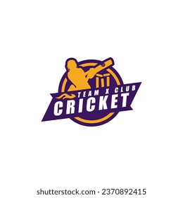 Cricket Academy Sport Player Logo