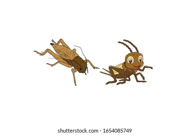 Cricket Animal Cartoon Vector Illustration