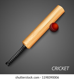 Cricket background with bat and ball template