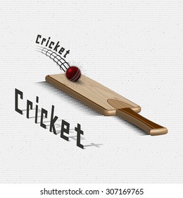 Cricket badges logos and labels can be used for design, presentations, brochures, flyers, sports equipment, corporate identity, sales