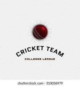 Cricket badges logos and labels can be used for design, presentations, brochures, flyers, sports equipment, corporate identity, sales