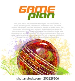 Cricket Ball