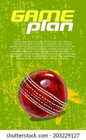 Cricket Ball