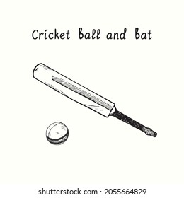 Cricket ball and bat. Ink black and white doodle drawing in woodcut style.