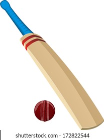 cricket ball and bat vector