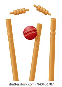 cricket ball caught in the wicket vector illustration isolated on white background