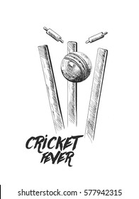 Cricket ball hitting bowling over wicket freehand sketch graphic design, vector illustration 