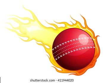 Cricket Ball On Fire - Illustration