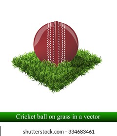 cricket ball on grass in a vector