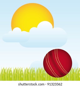 cricket ball over landscape with grass and sun. vector