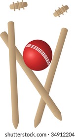 cricket ball and wickets