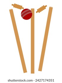 Cricket-Schläger und Ball für ein Sport-Spiel Stock Vektor-Illustration isoliert auf weißem Hintergrund