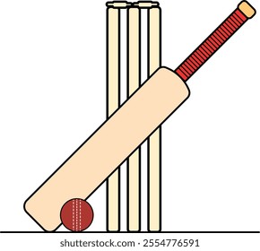 Cricket bat ball stump vector.