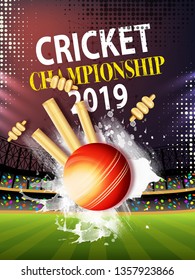 9,582 Cricket match balling vector Images, Stock Photos & Vectors ...