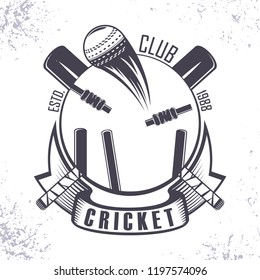 Cricket club Badge Logo Design, emblem team tournament template, vector