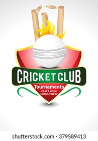 4,763 Cricket club Images, Stock Photos & Vectors | Shutterstock